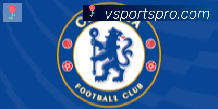 vsports体育合作伙伴