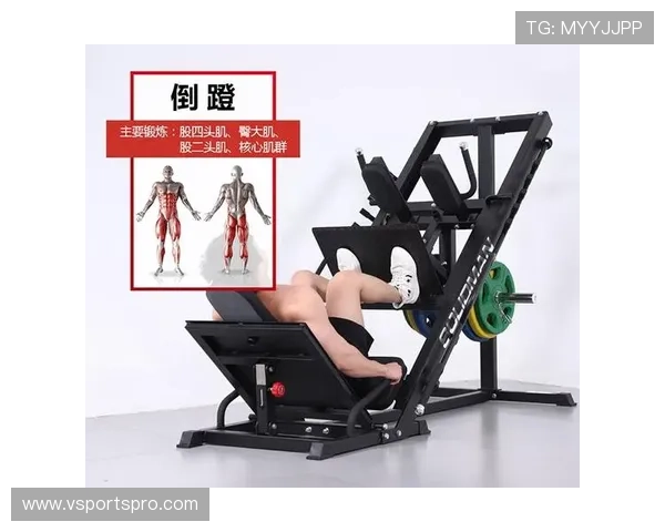 健身器材针对腿部训练的多样化使用技巧